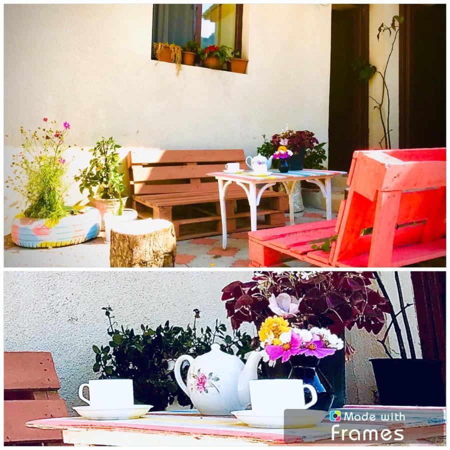 Guesthouse And Cottage Nicolo 卡兹贝吉 外观 照片