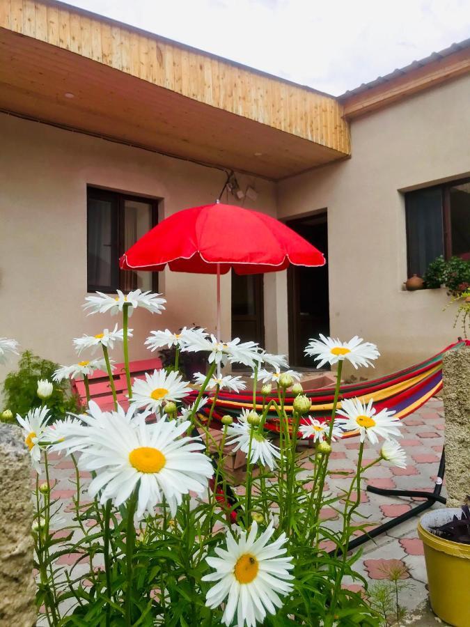 Guesthouse And Cottage Nicolo 卡兹贝吉 外观 照片